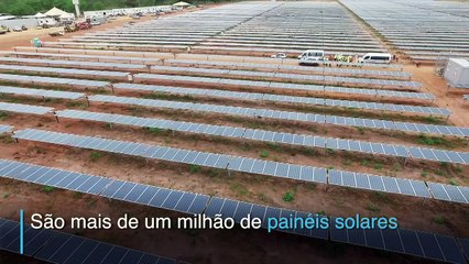 Conheça a maior usina de energia solar da América Latina