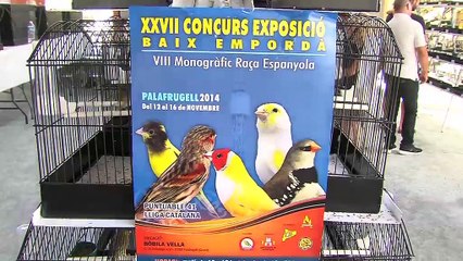 Présentation des concours par Robert Toquebeuf, vice président de l'association