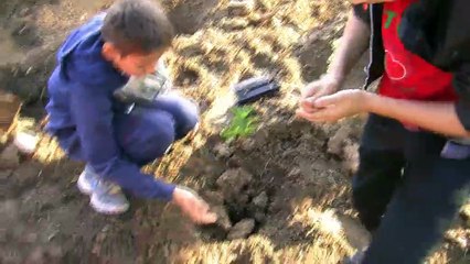 Les élèves de CM2 de Canto-Perdrix ont adoré planter leurs abres.