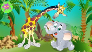 Hide and Seek - Animals for Kids - Cartoons for Babies
