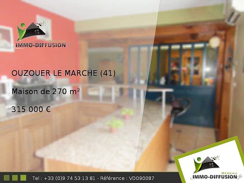 Maison A vendre Ouzouer le marche 270m2 - 315 000 Euros