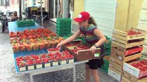 Le nouveau marché paysan en images et interviews