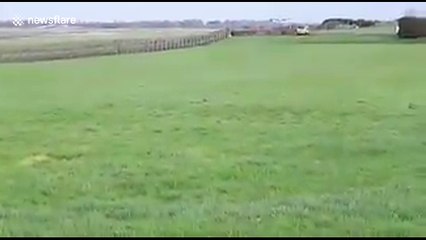 Pilot saves 56 on board after Flybe plane crash-lands at Belfast airport