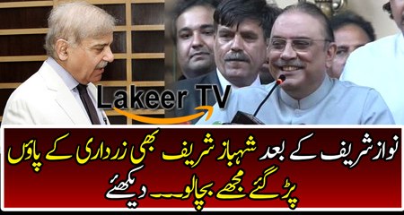Shahbaz Sharif Begging Help from Zardari