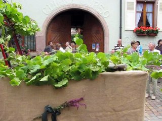 Bergheim-Defile (8)