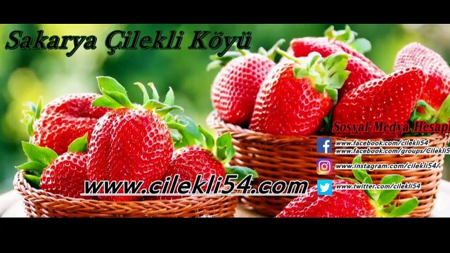 Sakarya Pamukova İnönü Yaylası Drone Videosu