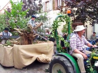 Bergheim-Defile (14)