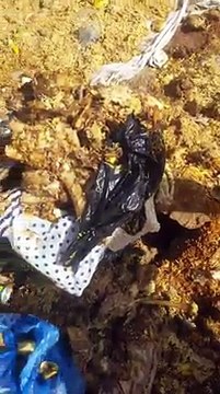 gaspillage à touba: Des tonnes de plats de riz et viandes versés dans la rue