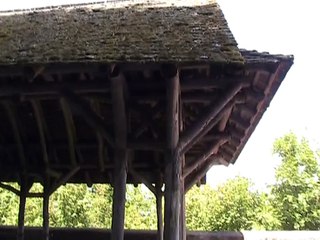 Château du Haut-Barr (5)