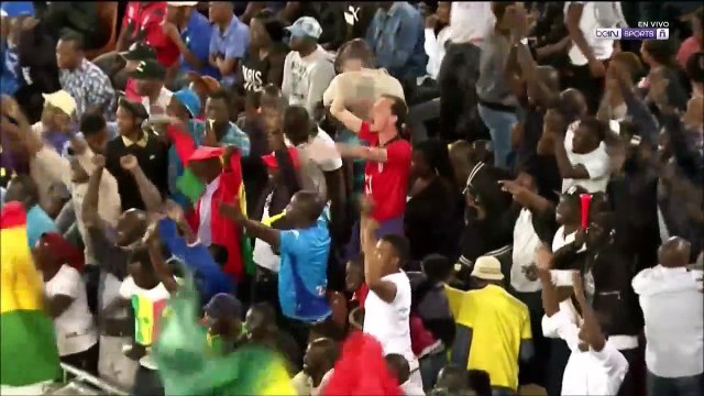 All Goals FIFA WC Qualification CAF R3 Group D - 10.11.217 South Africa 0-2 Senegal