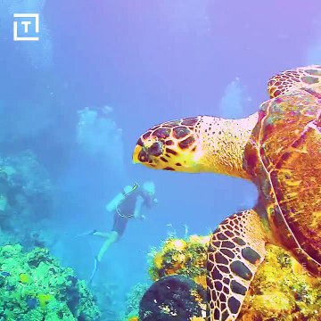 Job de rêve obtenez 10 000 $ par mois pour faire la fête.