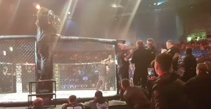 After Invading Octagon at MMA Event, Conor McGregor Clashes With Referee