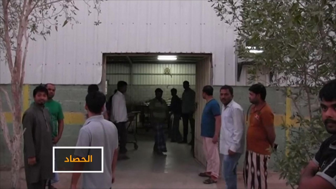 متحف اللوفر بأبوظبي.. للقصة وجه آخر