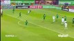 Algeria vs Nigeria 1-1 ~ All Goals & Highlights