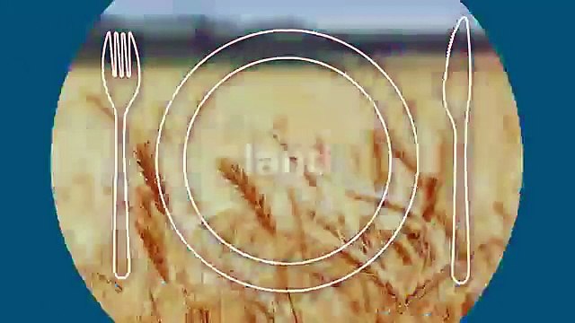 Putting Food on Our Plates Requires a Staggering Amount of Resources | Sealed Air