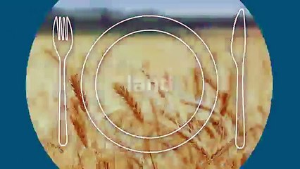 Putting Food on Our Plates Requires a Staggering Amount of Resources | Sealed Air