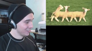 DID I TAKE LSD - Reacting to Baaa - Charmx Reupload