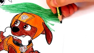 Paw Patrol Coloring - Paw Patrol Coloring Book Video For Kids