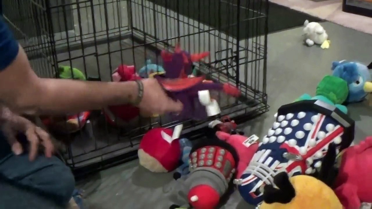 Angry Birds vs Webkinz The Ultimate Weapon, Daleks!