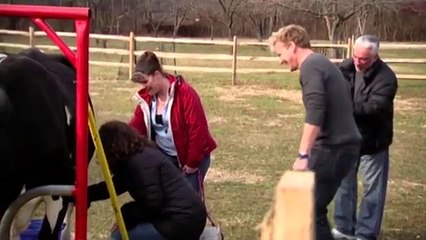 Gordon Ramsay Demonstrates How To Make Fresh Mozzarella | Kitchen Nightmares