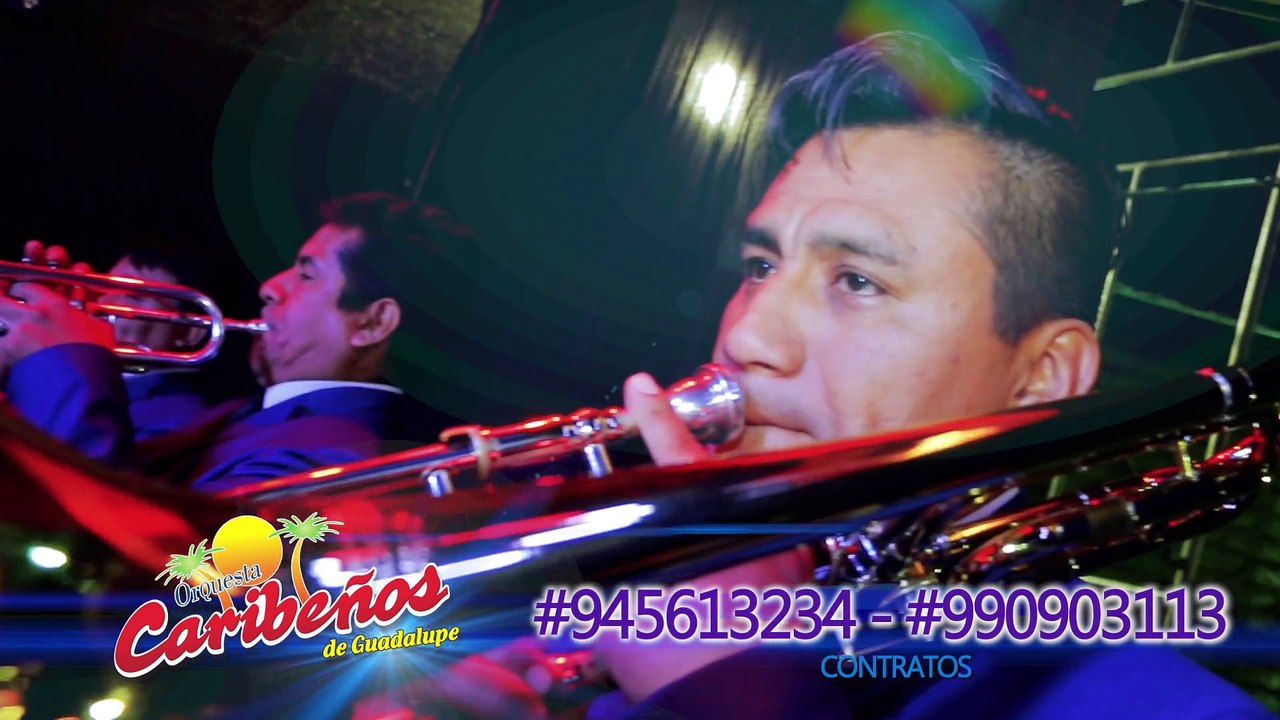 Vivo por tu amor - Caribeños de Guadalupe