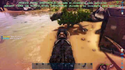 Construyendo la casa (10)