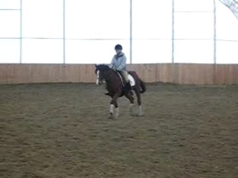 Cavalier 2 : Reprise de dressage : Moi et Pégase