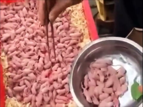 En Chine on peut manger des bébé souris vivants... Un peu de sauce.