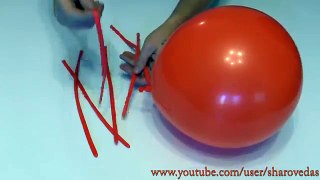 Тыква на Хэллоуин из шаров Pumpkin of balloons for Halloween