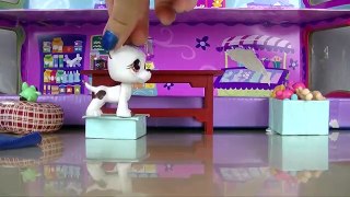 ❀ LPS: Behind the Scenes (Mall Trip)