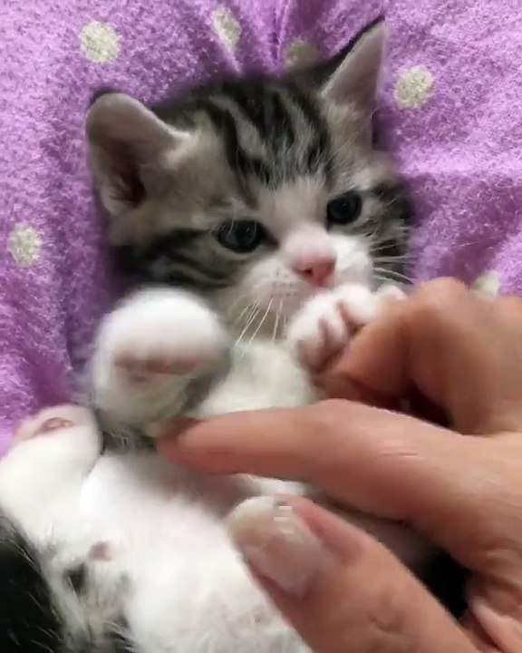 SOO Cuteee