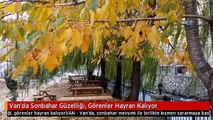 Van'da Sonbahar Güzelliği, Görenler Hayran Kalıyor