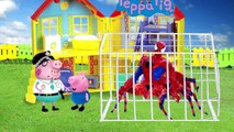 Papai Pig Policial Prende em Vários Episódios 30 Minutos de Desenho da Peppa Pig em Português Brasil