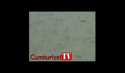Nehirde sıkışan balıkları polis kurtardı