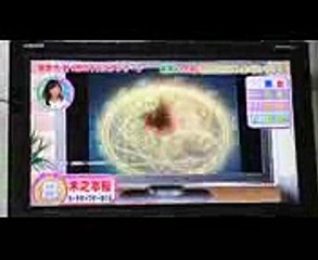 昭和ＶＳ平成 カードキャプターさくら登場シーン