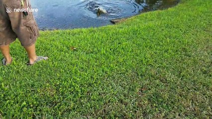 Fisherman accidentally catches an angry baby alligator