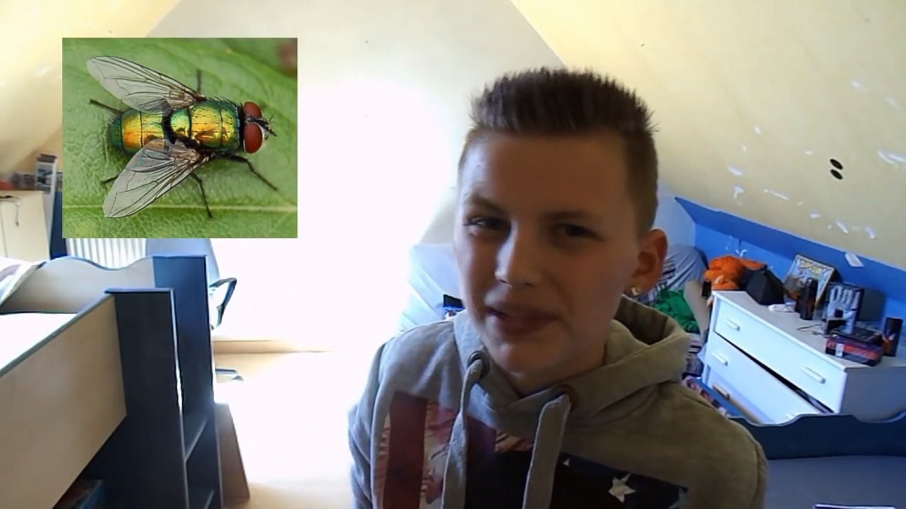 LES TRUCS CHIANTS - TIM