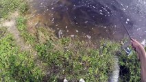 Fishing the Everglades - Florida Fishing Road Trip Chronicles 2