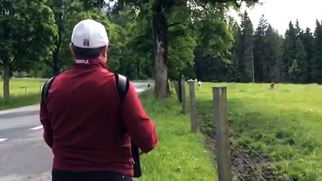 Stao je na ulici pokraj velike livade, izvadio harmoniku iz auta i počeo svirati. Ono što će uslijediti gledaćete u nevj