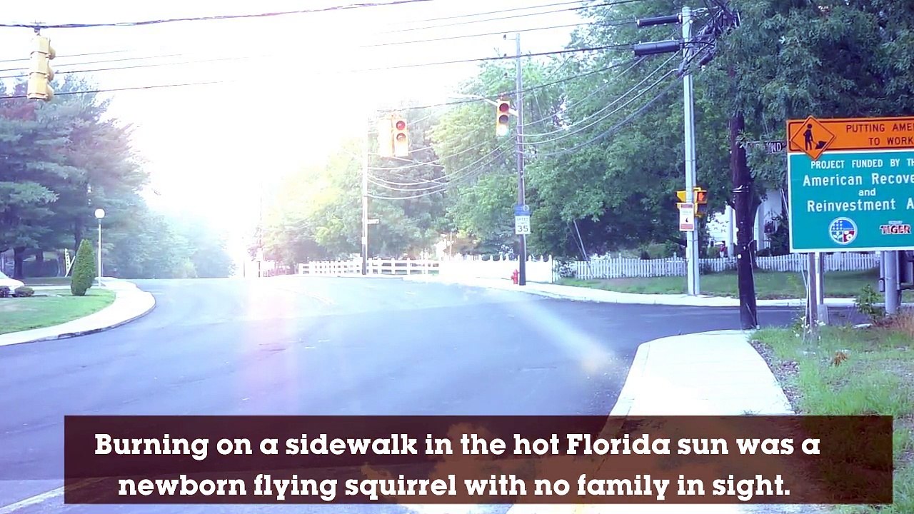 He Found A Baby Bizarre Creature Dying In The Sun. What He Did Next Defied All Odds!