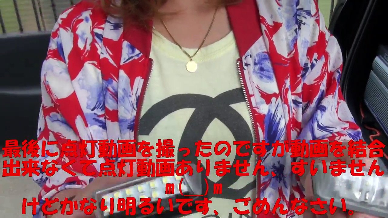 基本の基本に帰ります。ど素人にやらしてみた編ナンバー灯は変えれるのかINど素人のヴェルファイア30