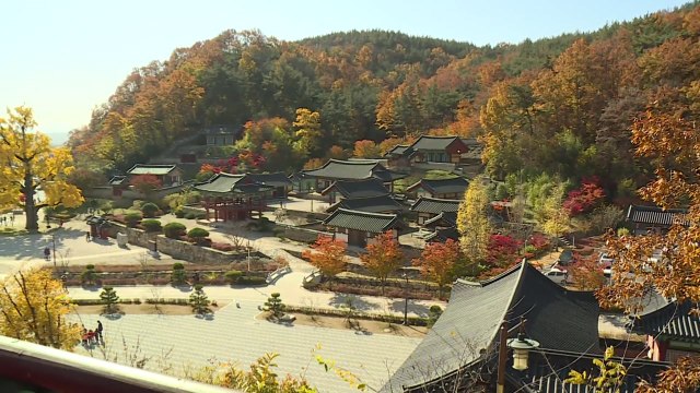 늦가을 정취 만끽...역사 체험은 덤 / YTN