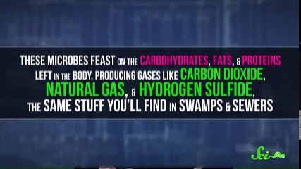 The Strange, Smelly Science of Decomposing Bodies