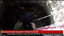 Kuyuya Düşen Koyunları İtfaiye Kurtardı