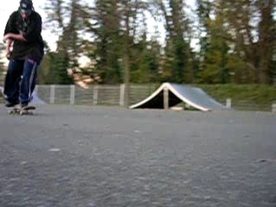 3 6 flip bizzy
