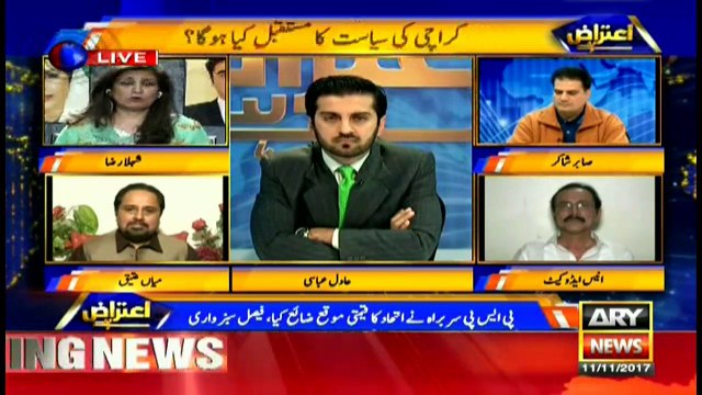 Shehla Raza says MQM, PSP accusing institutions of political meddling