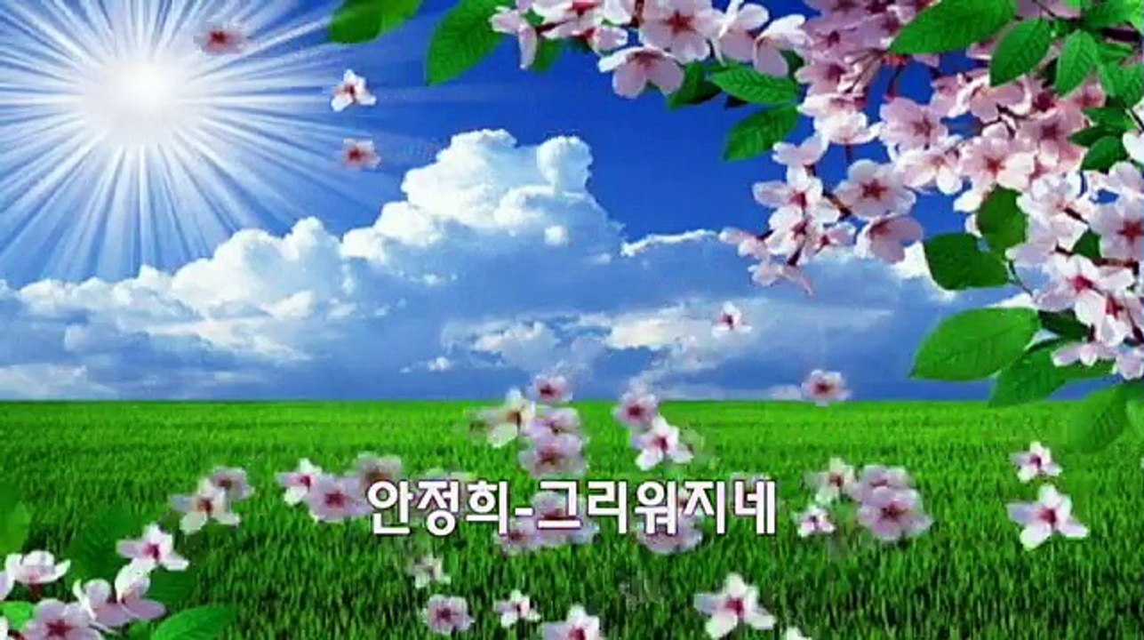 안정희 그리워지네 /사랑을 몰랐던가봐