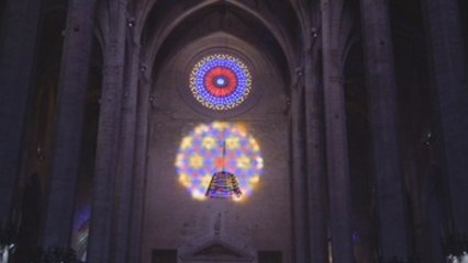 Cientos de personas presencian el fenómeno del 8 en la Catedral de Mallorca