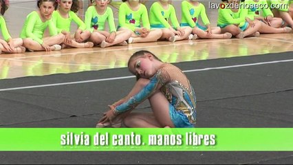 Escuela de Gimnasia Rítmica de Medina de Rioseco