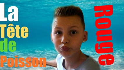 F.A.Q 2 - SPECIAL 2 000 ABONNES !